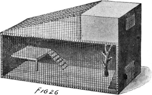 Fig. 26