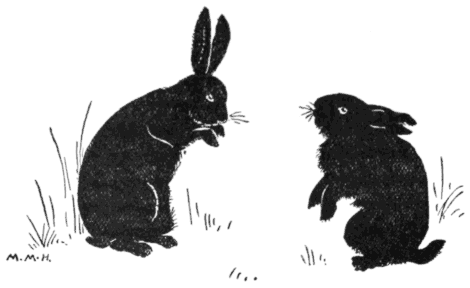 Two rabbits