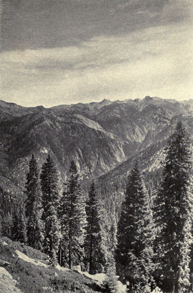 A Sierra Cañon
(King’s River Cañon from Lookout Peak)