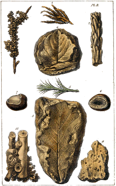 Plate III