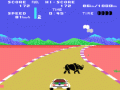 Safari Race