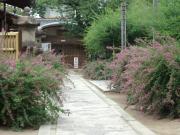 輪行写真