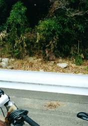 輪行写真