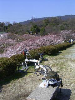 輪行写真