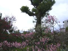 輪行写真